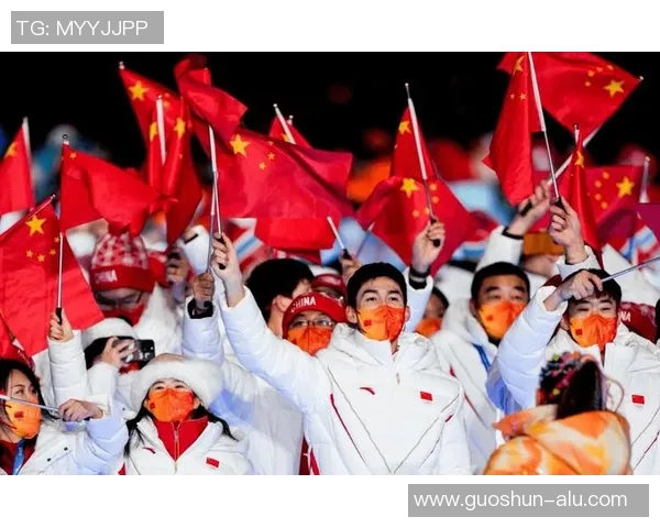 体育运动员的基本信息与发展历程全面解析